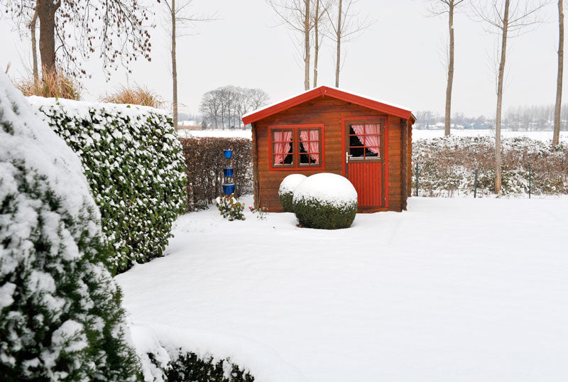 Prepare your Shed for Winter
