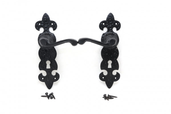 Black Antique Ornate Door Handles - Perfect for Georgian Doors