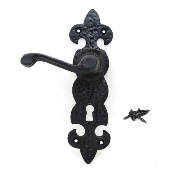 Black Antique Ornate Door Handles - Perfect for Georgian Doors